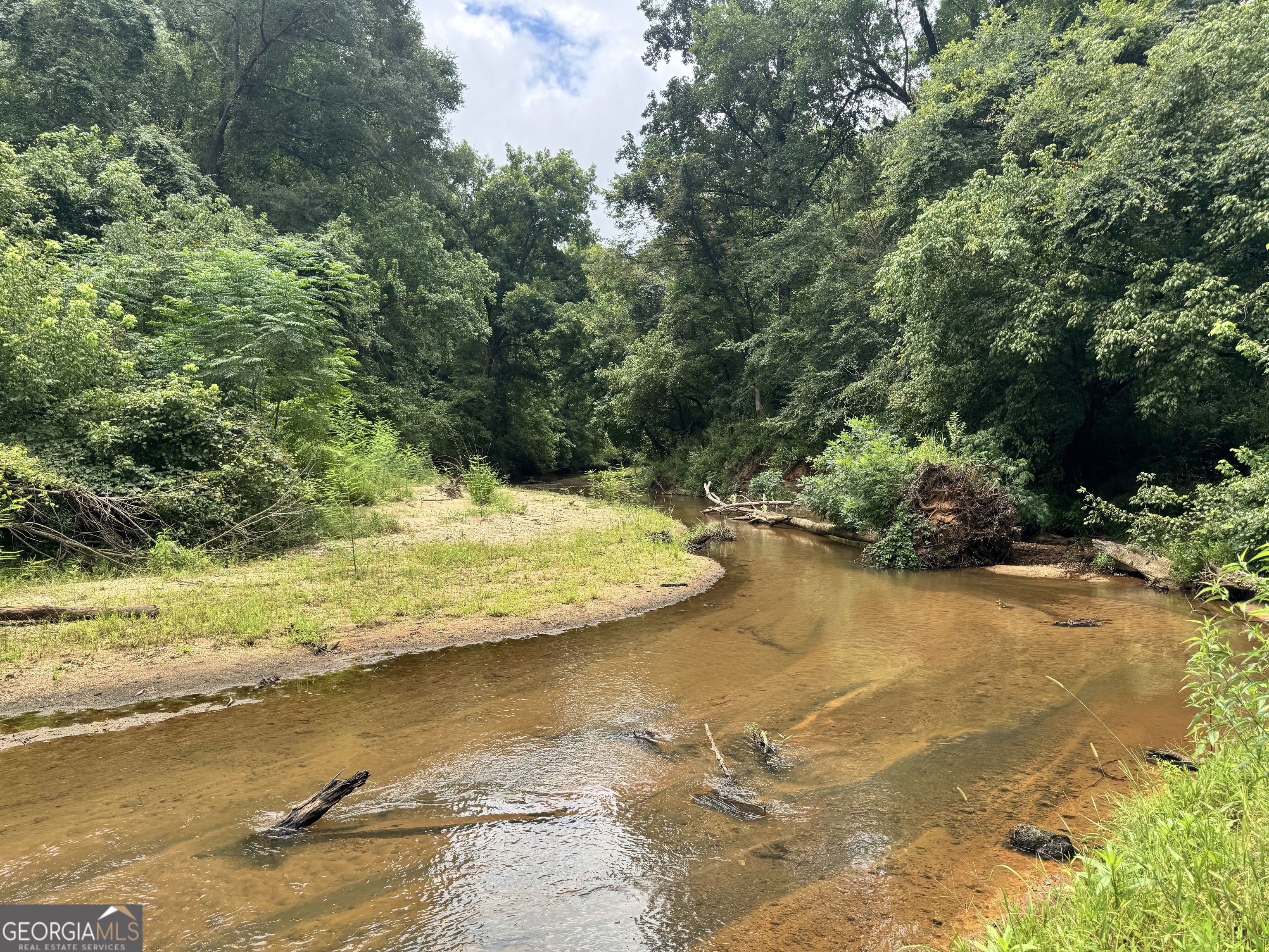 180.14-ac Johnson Mill Road Hamilton, GA 31811 - Photo 7 of 13 a view of an ocean view