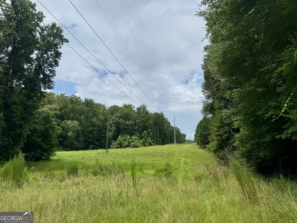 a yard with swimming pool and green space