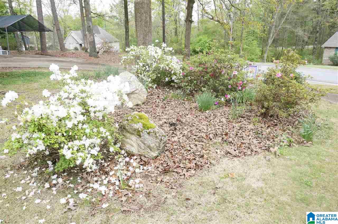 108 Old Spanish Trail Alabaster, AL 35007 - Photo 4 of 36
