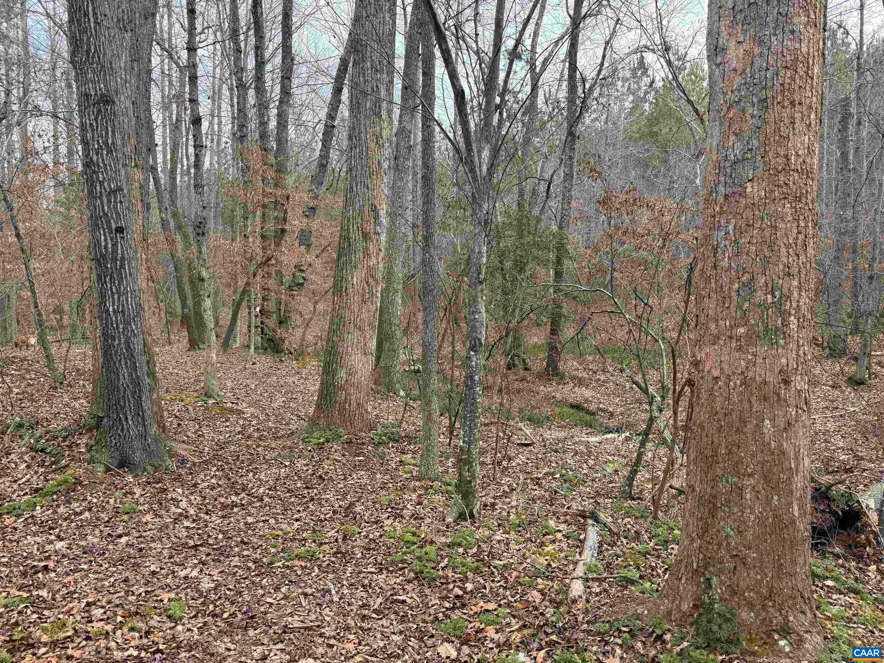 2 Hardware Road Arvonia, VA 23004 - Photo 8 of 13 Gallery Image 8