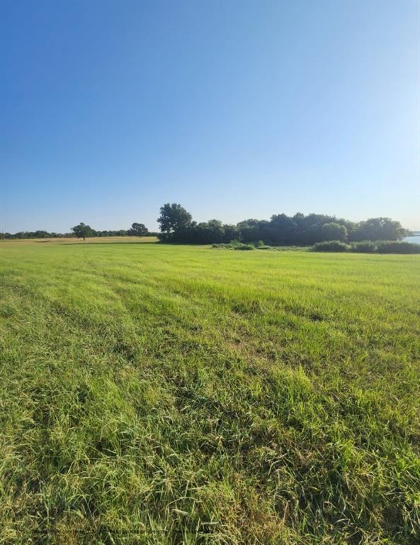 0 Southeast County Road Kerens, TX 75144 - Photo 10 of 19