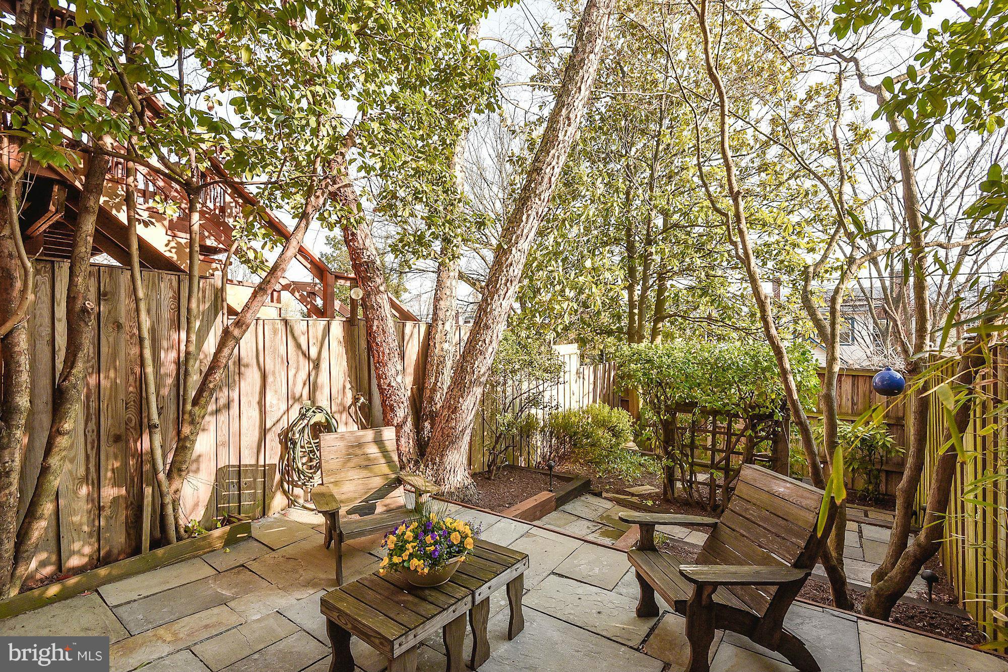 3834 Calvert Street Northwest Washington, DC 20007 - Photo 16 of 17 Deep rear landscaped garden