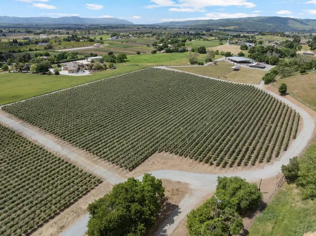 an aerial view of ocean with residential houses with outdoor space and trees