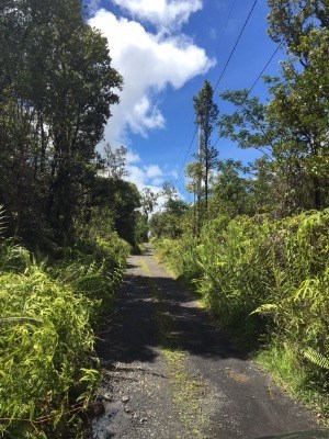 593 Lanai Road Pahoa, HI 96778 - Photo 1 of 1 Gallery Image 1