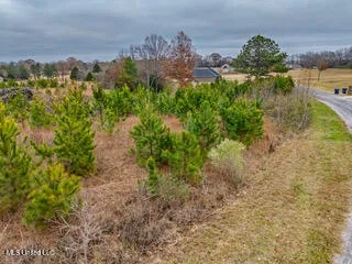 $35,000 | 43 Cherry Bark Lane, Courtland, MS 38620