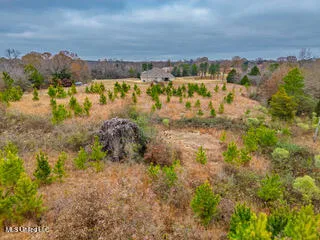 $35,000 | 43 Cherry Bark Lane, Courtland, MS 38620