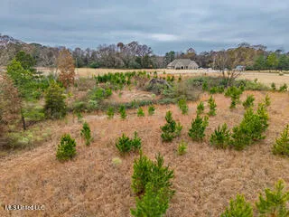 $35,000 | 43 Cherry Bark Lane, Courtland, MS 38620