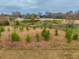 $35,000 | 43 Cherry Bark Lane, Courtland, MS 38620