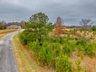 $35,000 | 43 Cherry Bark Lane, Courtland, MS 38620