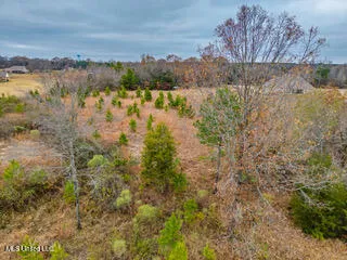 $35,000 | 43 Cherry Bark Lane, Courtland, MS 38620