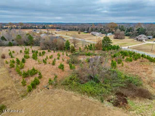 $35,000 | 43 Cherry Bark Lane, Courtland, MS 38620