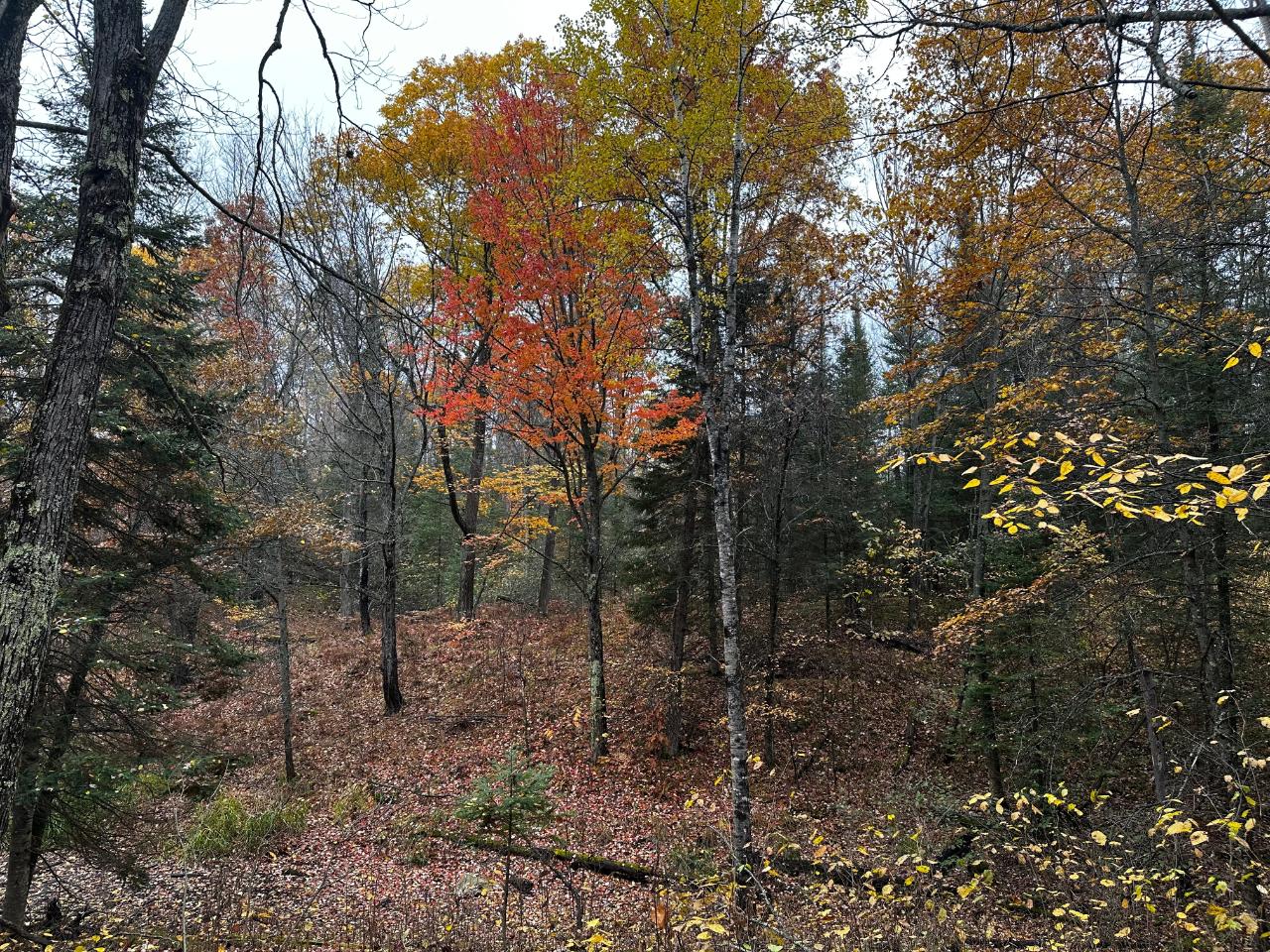 On East Rapids Road Lake Tomahawk, WI 54539 - Photo 20 of 33 Gallery Image 20