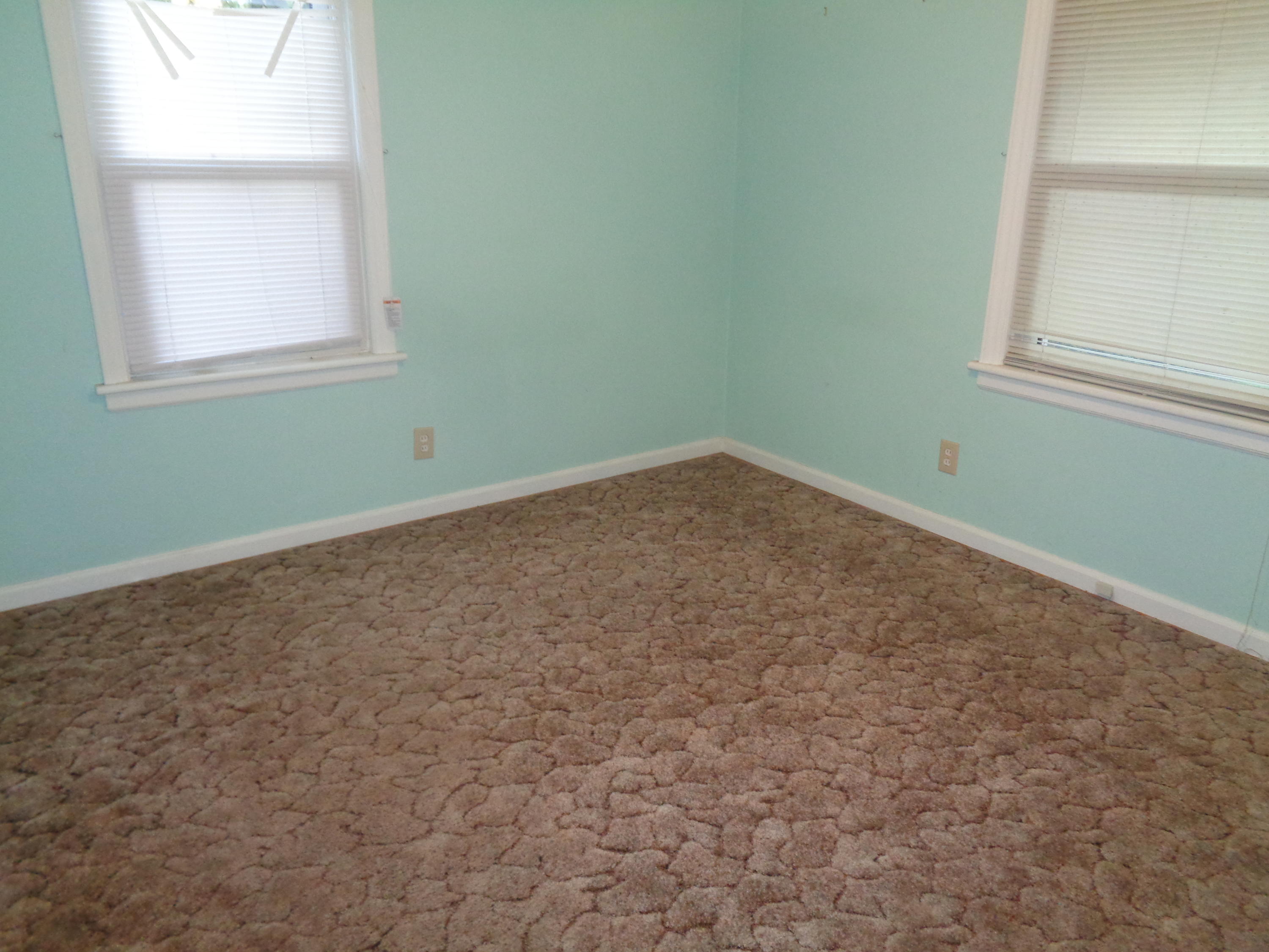 4319 Oliver Road Northeast Roanoke, VA 24012 - Photo 4 of 10 bedroom1