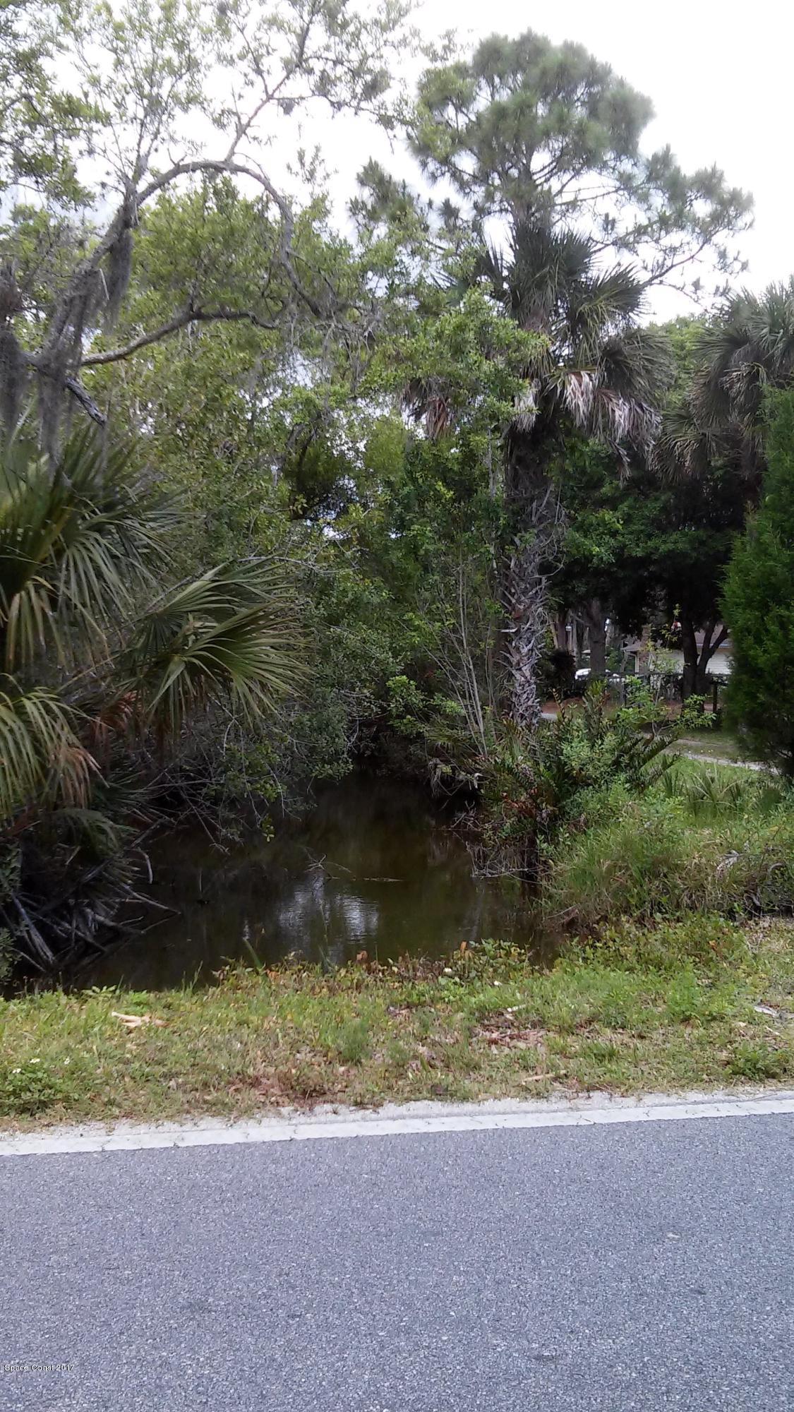 570 East Crisafulli Road Merritt Island, FL 32953 - Photo 4 of 6 Natural state 'as is'