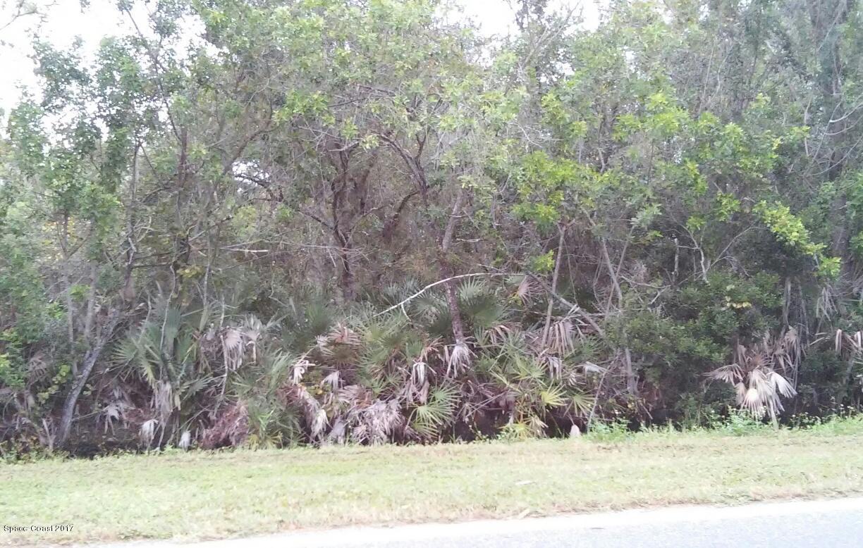 570 East Crisafulli Road Merritt Island, FL 32953 - Photo 5 of 6 property in natural state