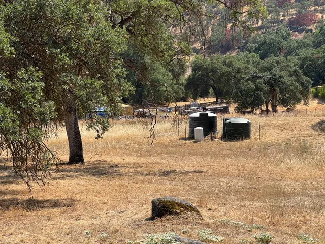 a view of a yard with a tree