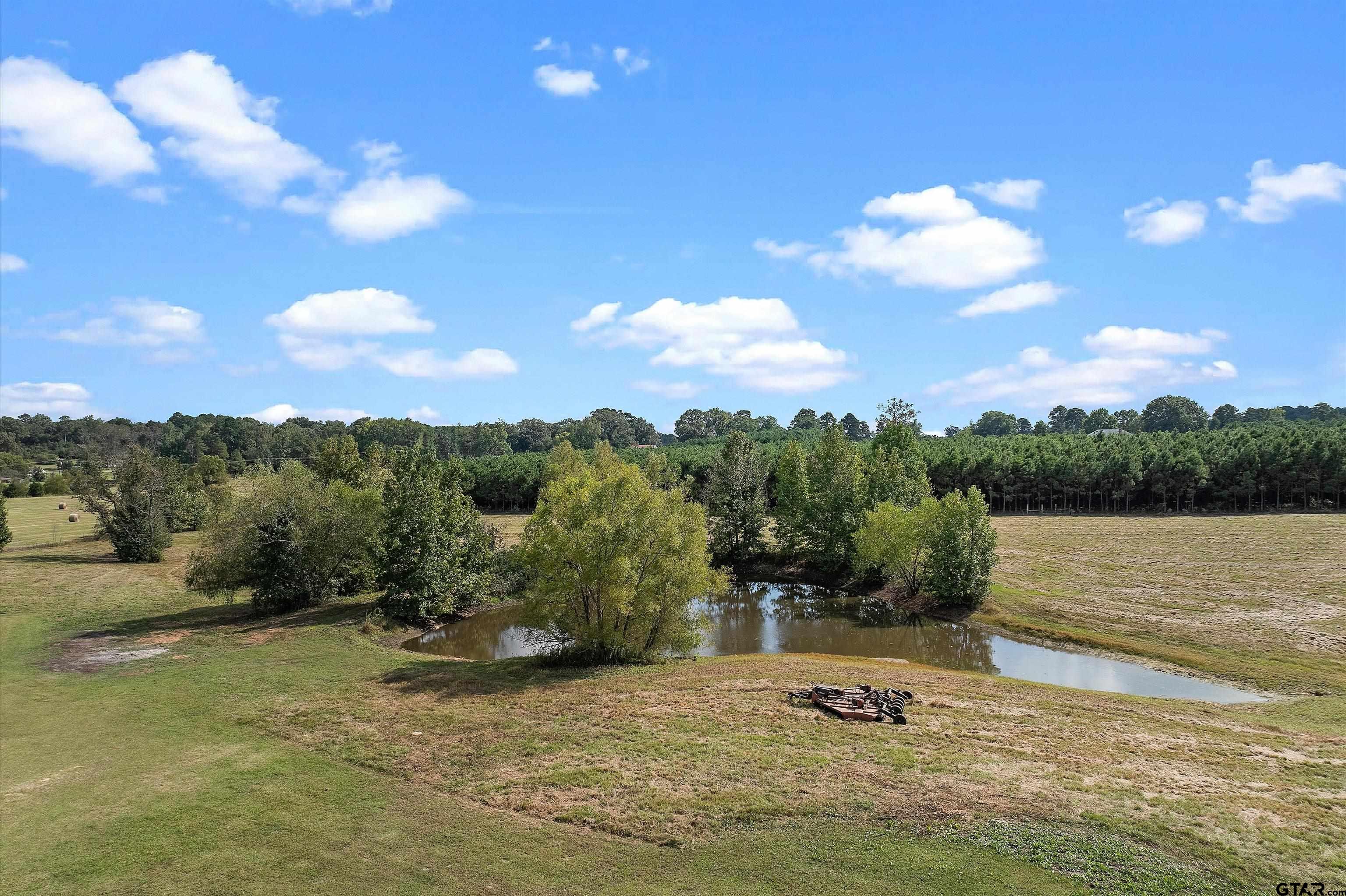 8550 New Hope Road Gilmer, TX 75645 - Photo 11 of 40