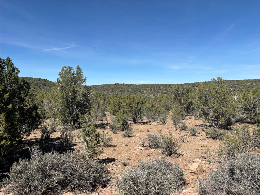 352-38-012 352-38-012 Badger Ridge Road Kingman, AZ 86401 - Photo 26 of 31