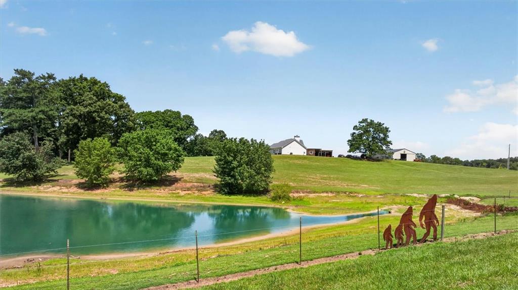267 Hammond Road Southeast Calhoun, GA 30701 - Photo 35 of 57