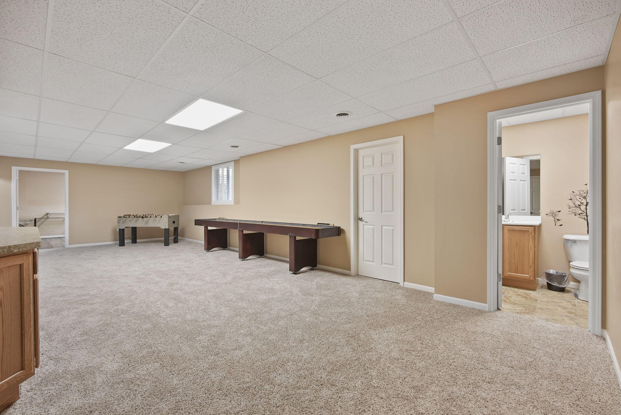 1317 Catsyl Road Jackson, MI 49203 - Photo 21 of 33 25-web-or-mls-DSC03098