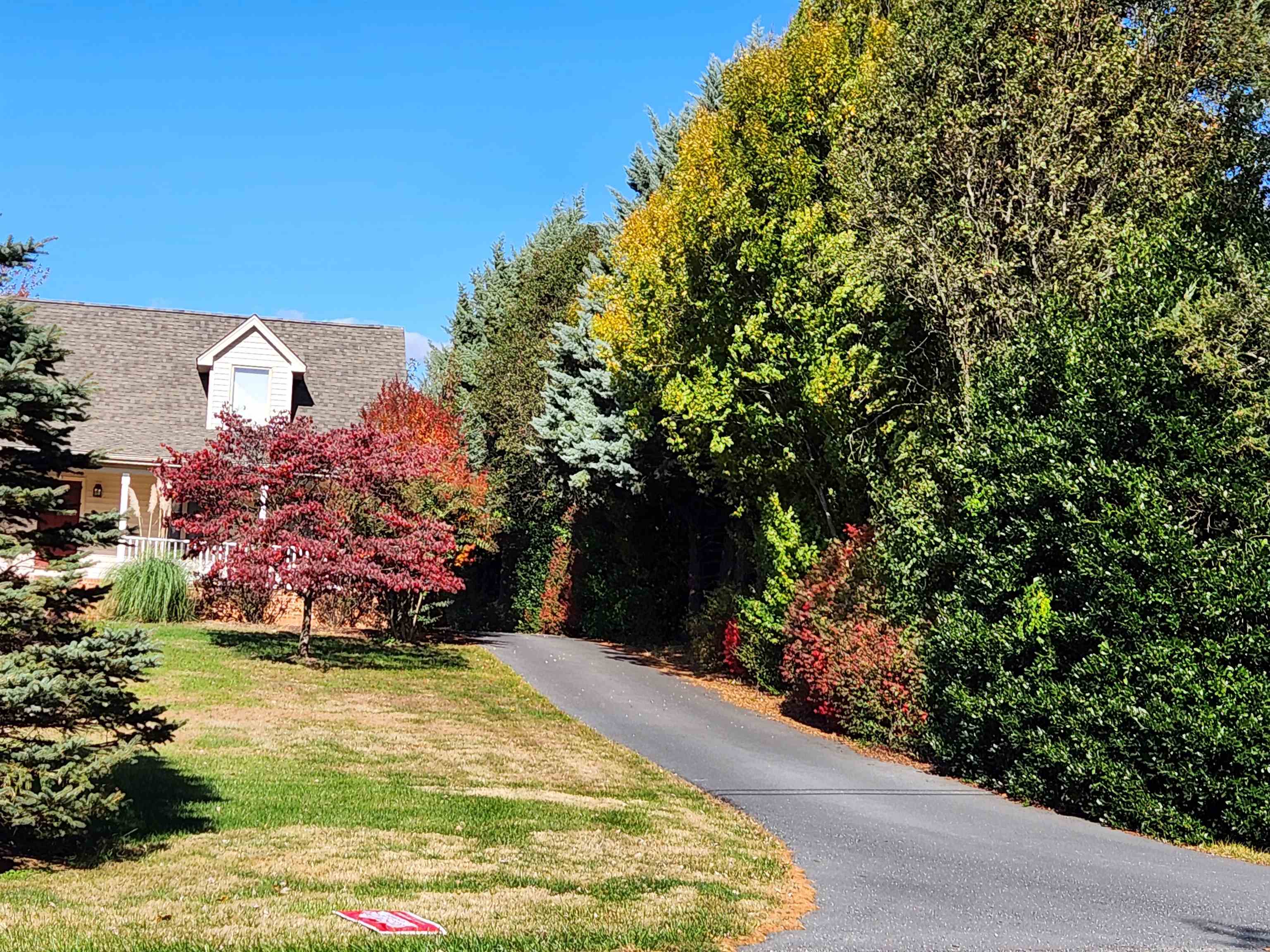 344 Gravels Road Harrisonburg, VA 22802 - Photo 53 of 75