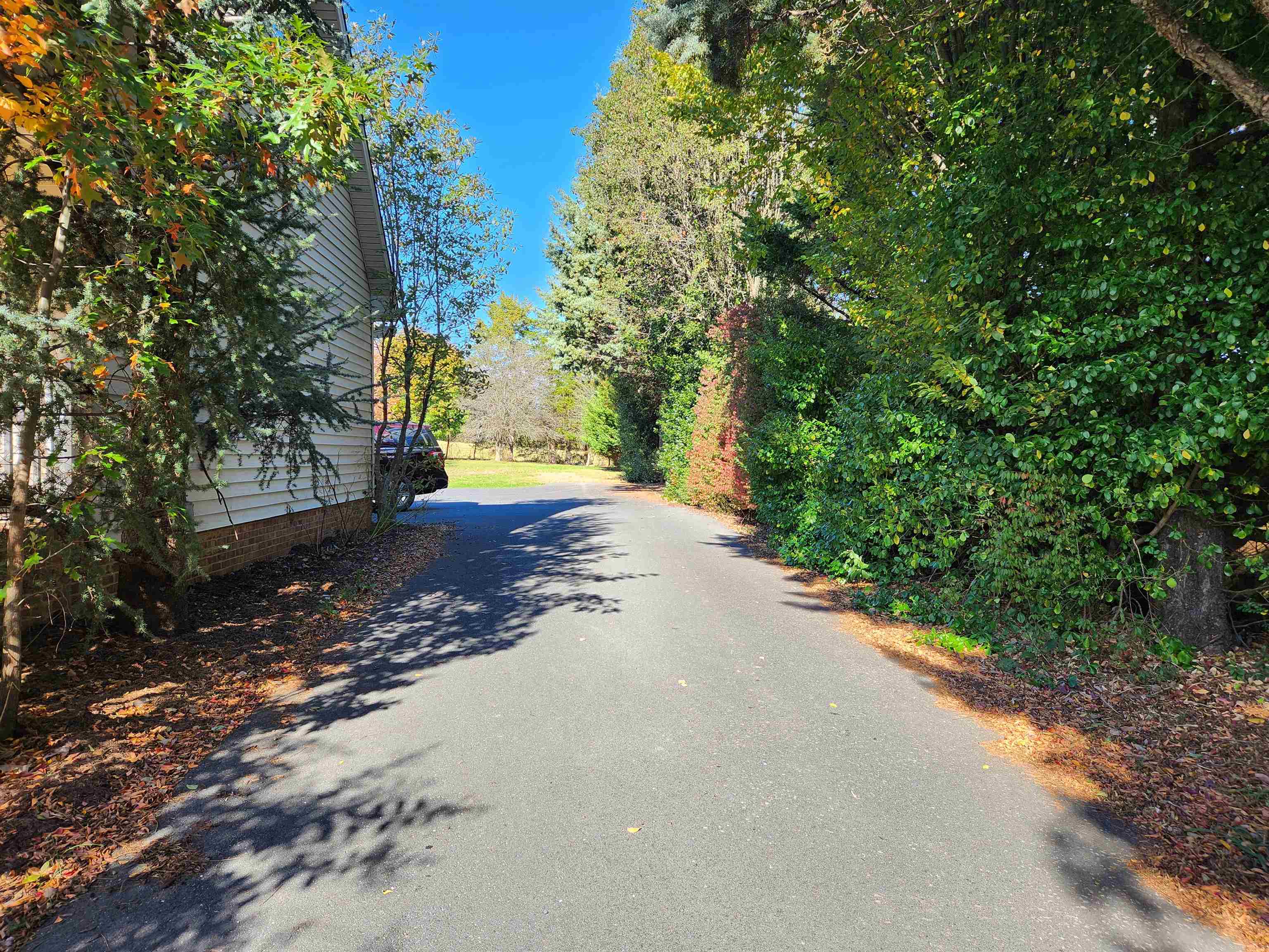 344 Gravels Road Harrisonburg, VA 22802 - Photo 54 of 75