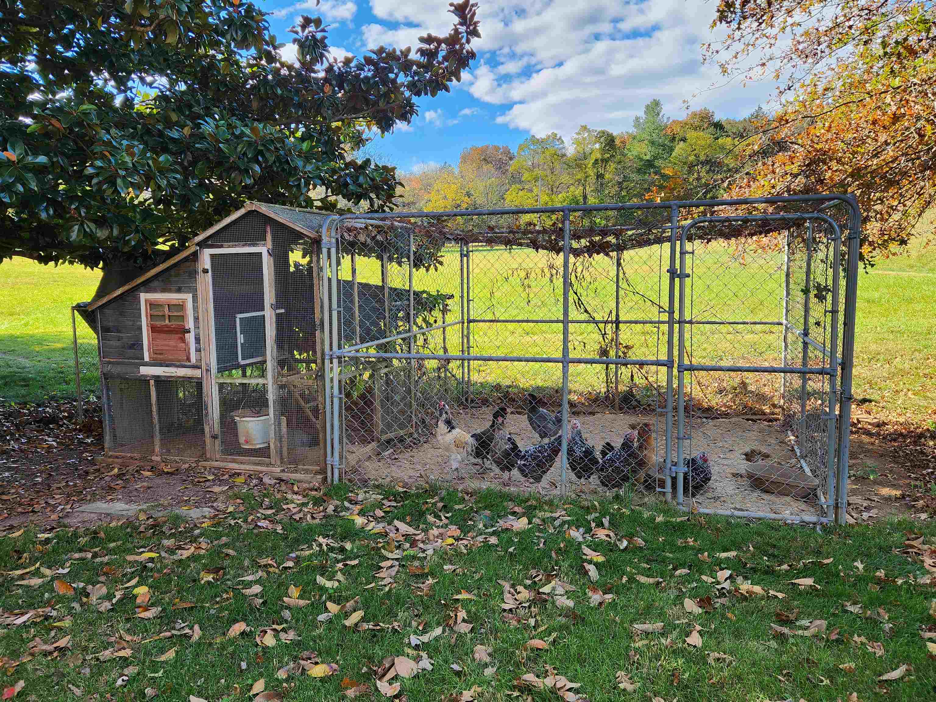 344 Gravels Road Harrisonburg, VA 22802 - Photo 64 of 75
