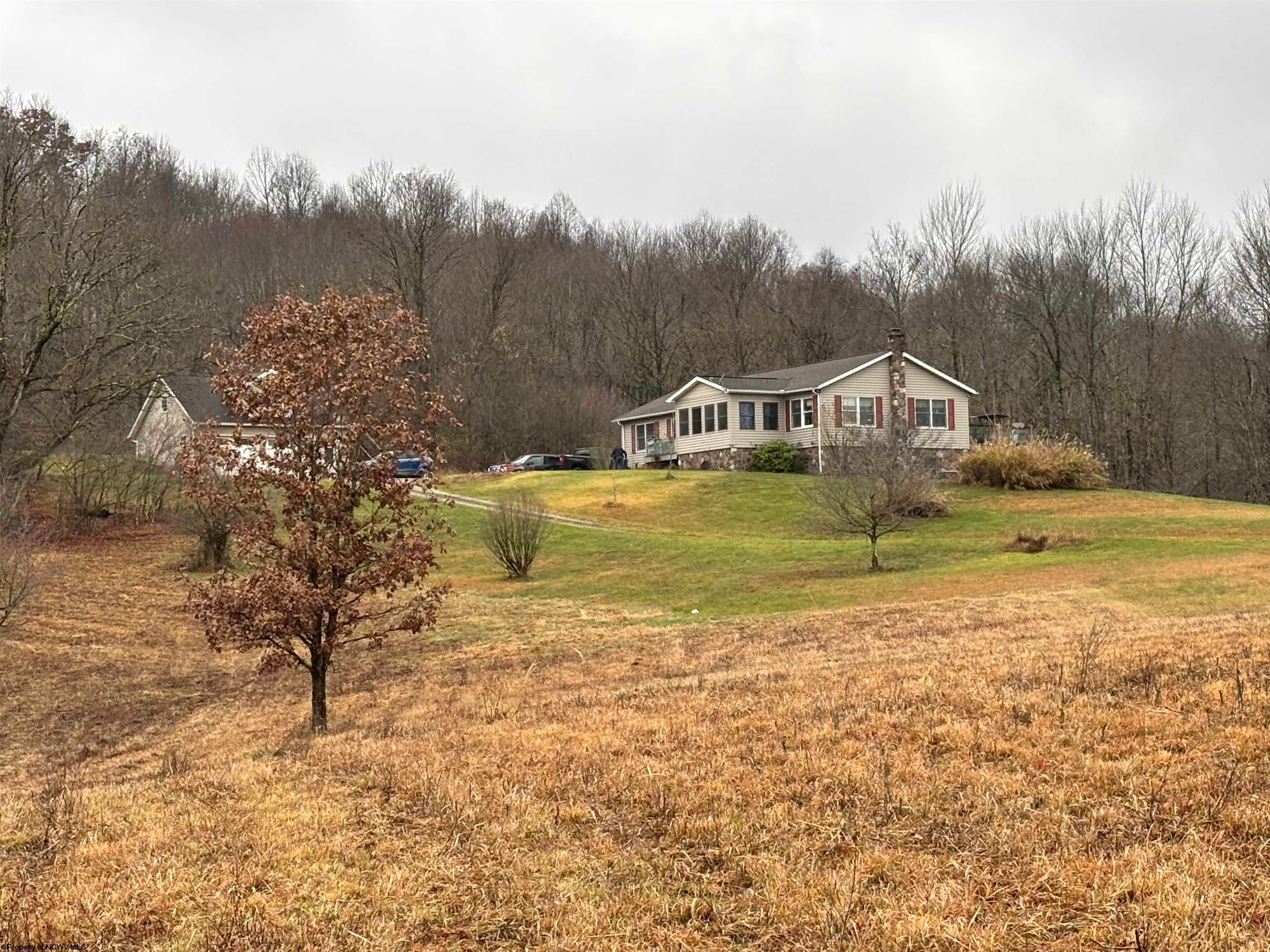 2815 Stalnaker Road Belington, WV 26250 - Photo 37 of 41 Gallery Image 37