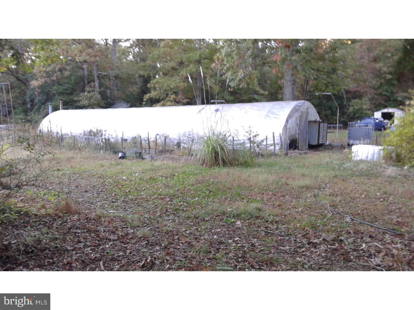 265 Buck Road Pittsgrove, NJ 08318 - Photo 12 of 18 View in Back