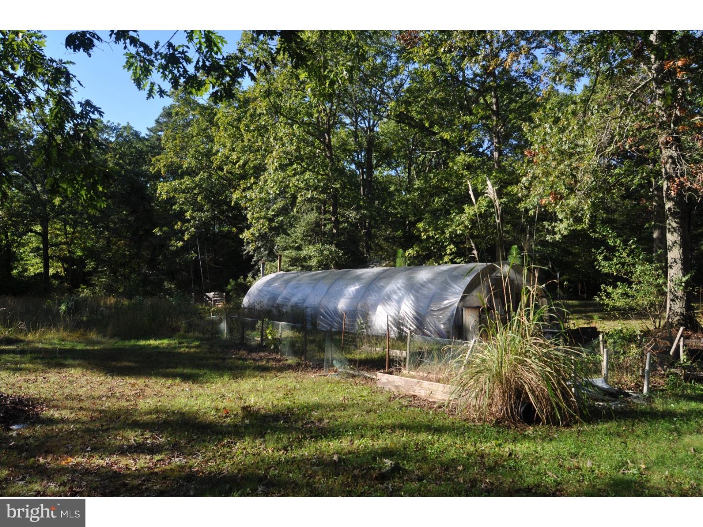 265 Buck Road Pittsgrove, NJ 08318 - Photo 13 of 18 View in Back