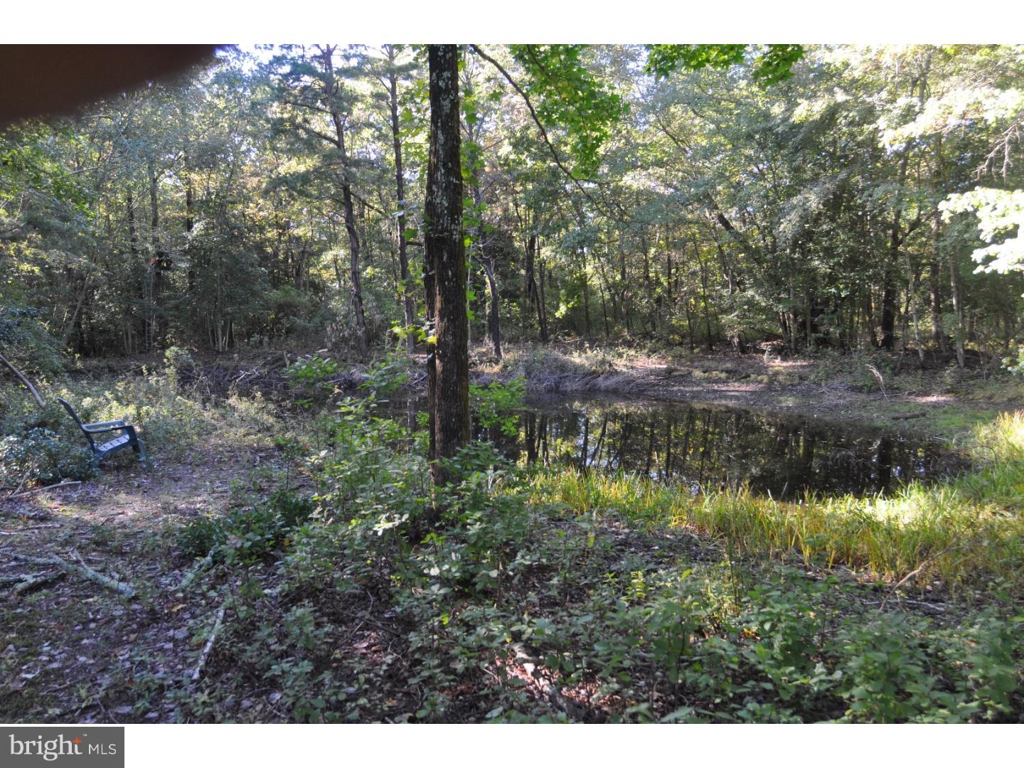 265 Buck Road Pittsgrove, NJ 08318 - Photo 15 of 18