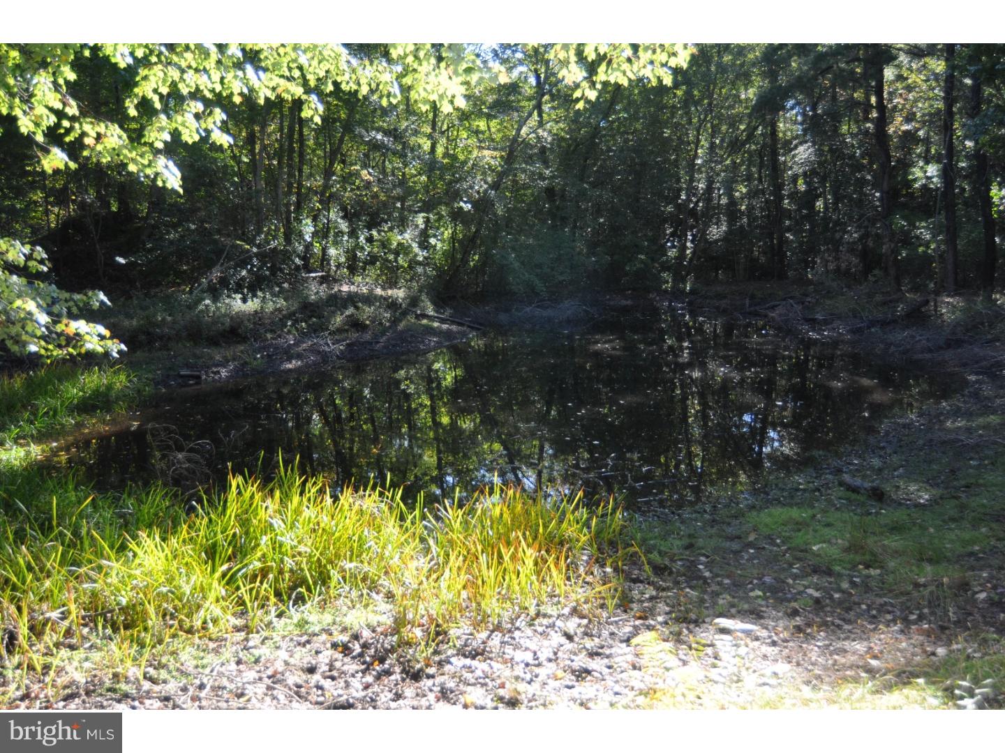 265 Buck Road Pittsgrove, NJ 08318 - Photo 16 of 18 Lake / Pond