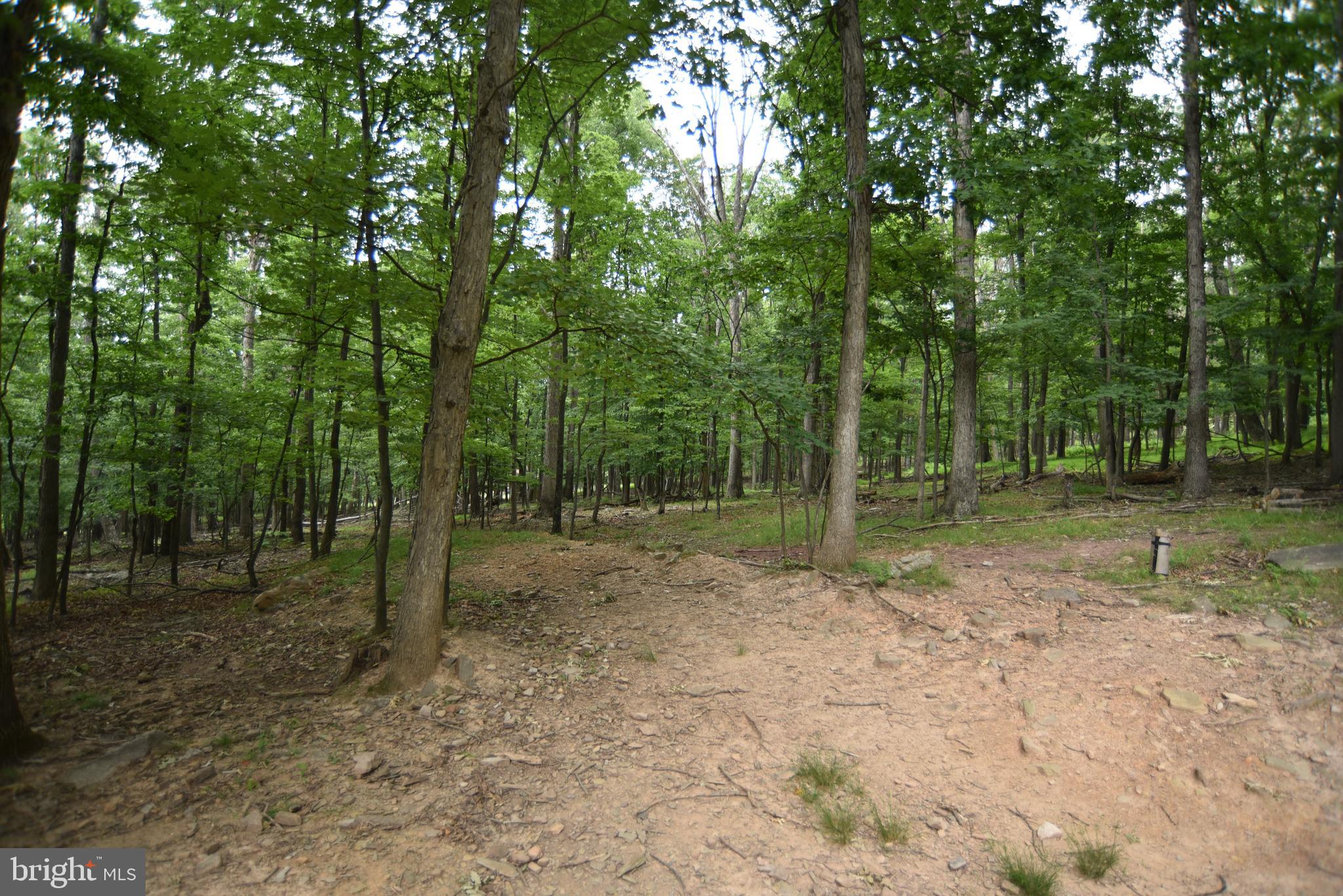 586 Cardinal View Road Paw Paw, WV 25434 - Photo 6 of 25