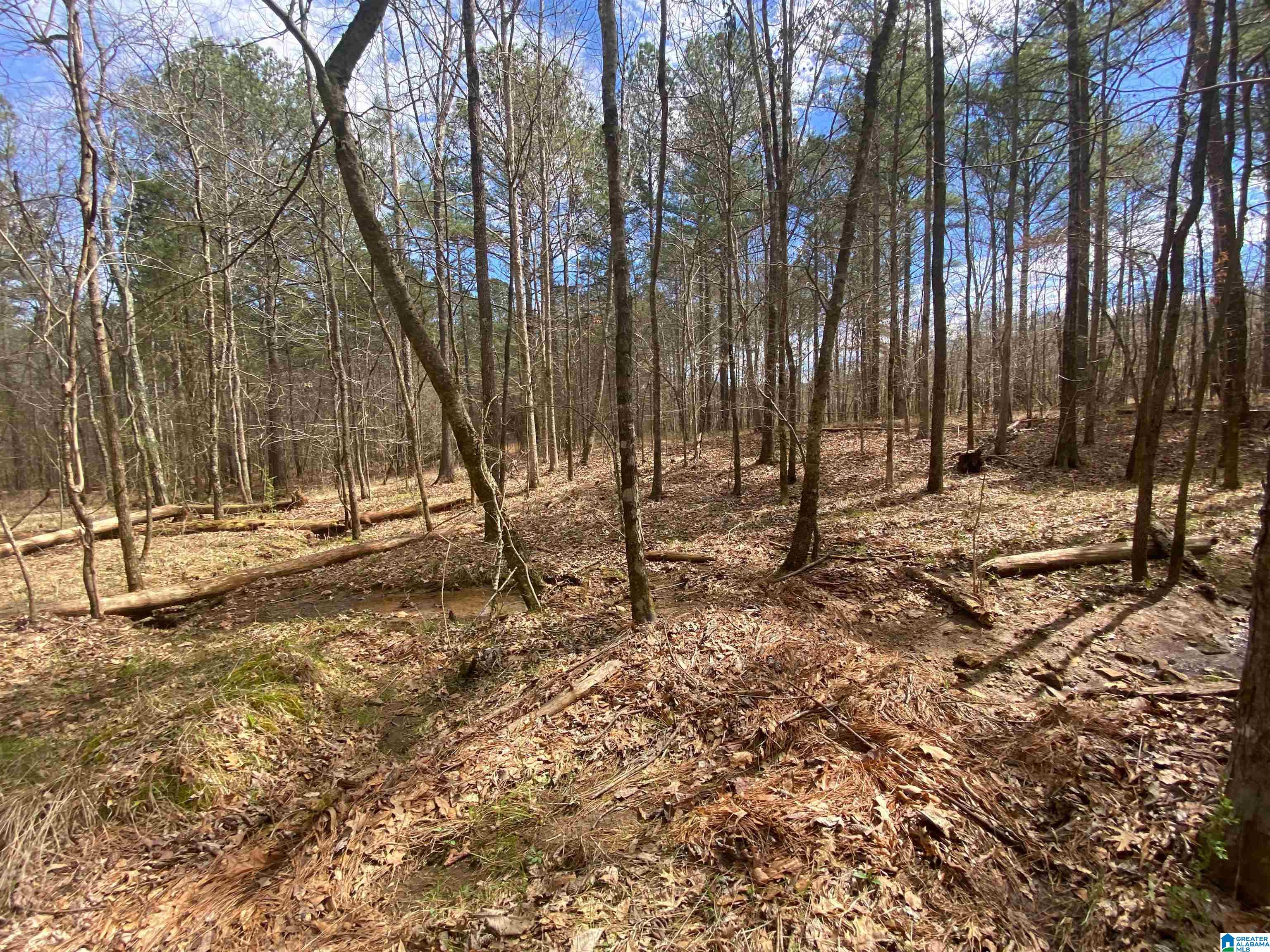 Springs Lane, Unit 12 Springville, AL 35146 - Photo 11 of 26