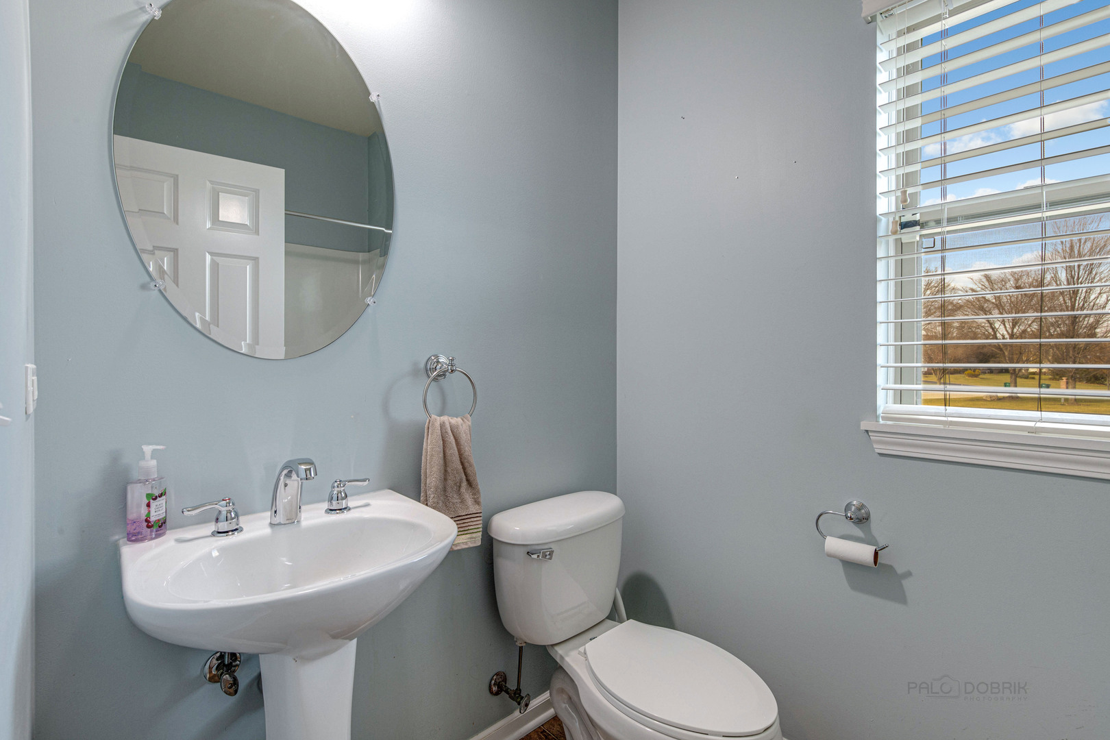 2479 Downing Court Gurnee, IL 60031 - Photo 11 of 21 a bathroom with a sink a mirror and a toilet