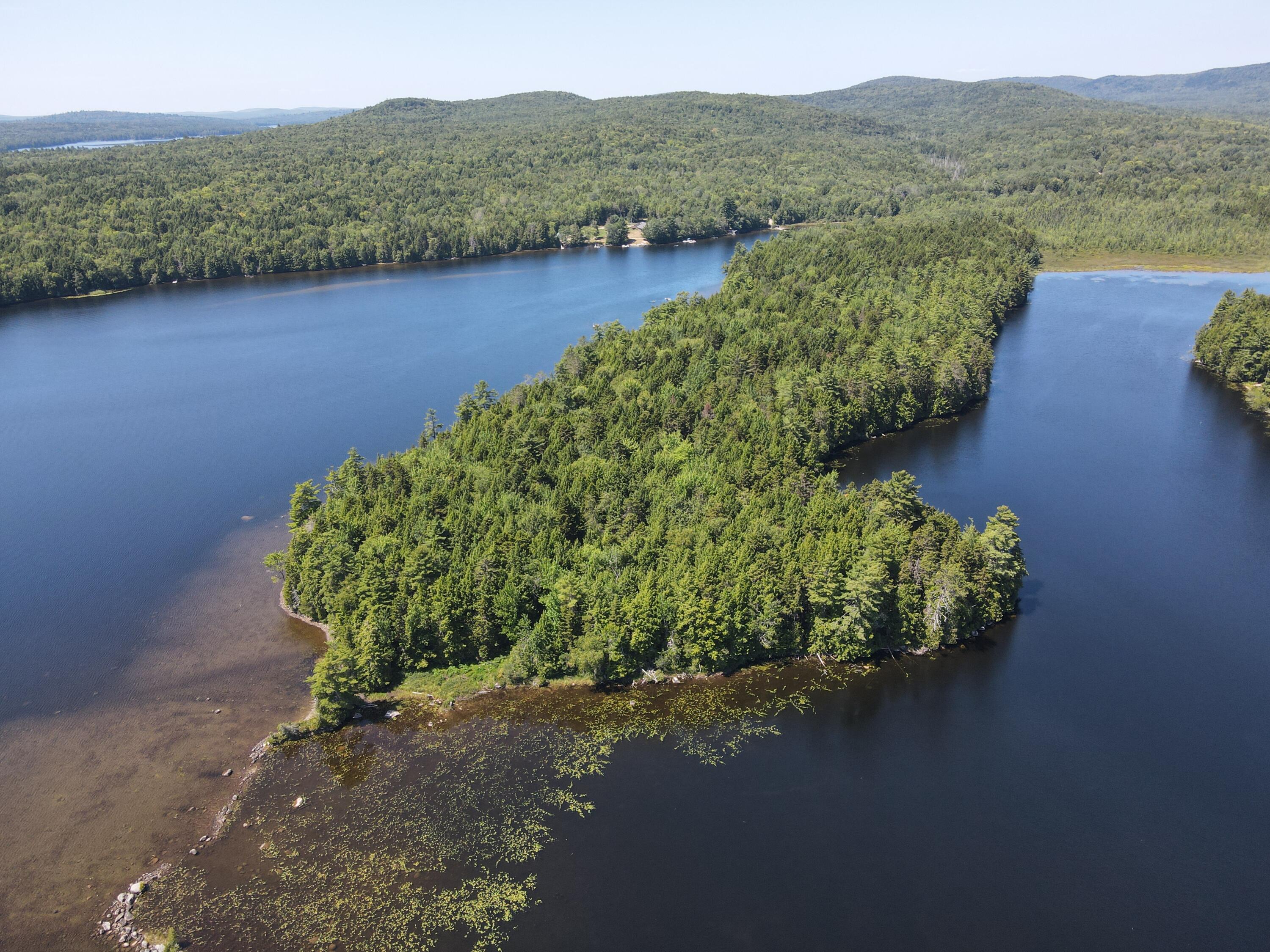Tbd Depot Road Lakeville, ME 04487 - Photo 6 of 56