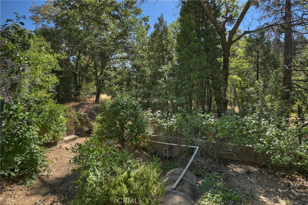 23167 Brookside Road Crestline, CA 92325 - Photo 37 of 49