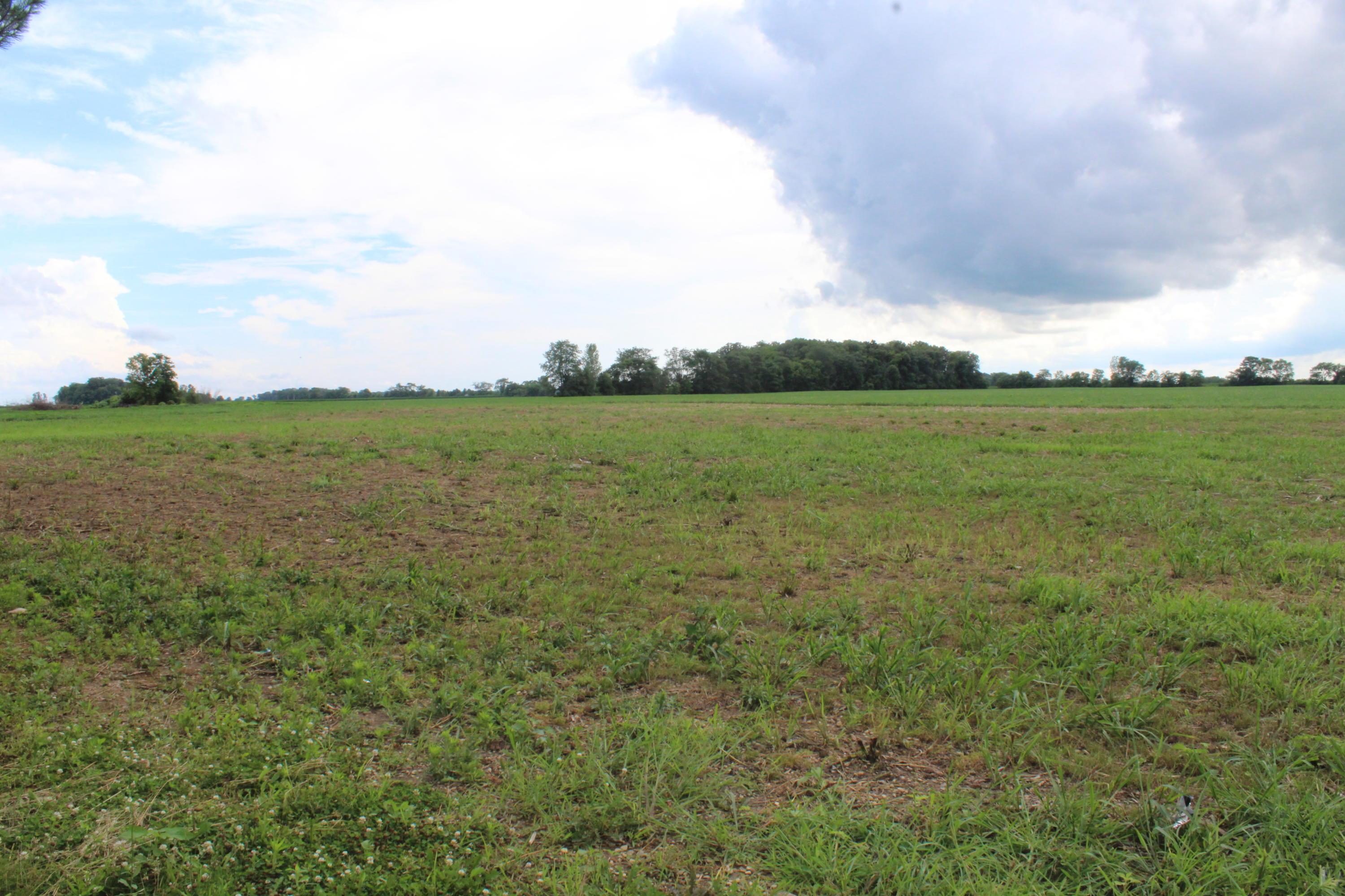 13721 Messmore Road Orient, OH 43146 - Photo 38 of 40 Gallery Image 38
