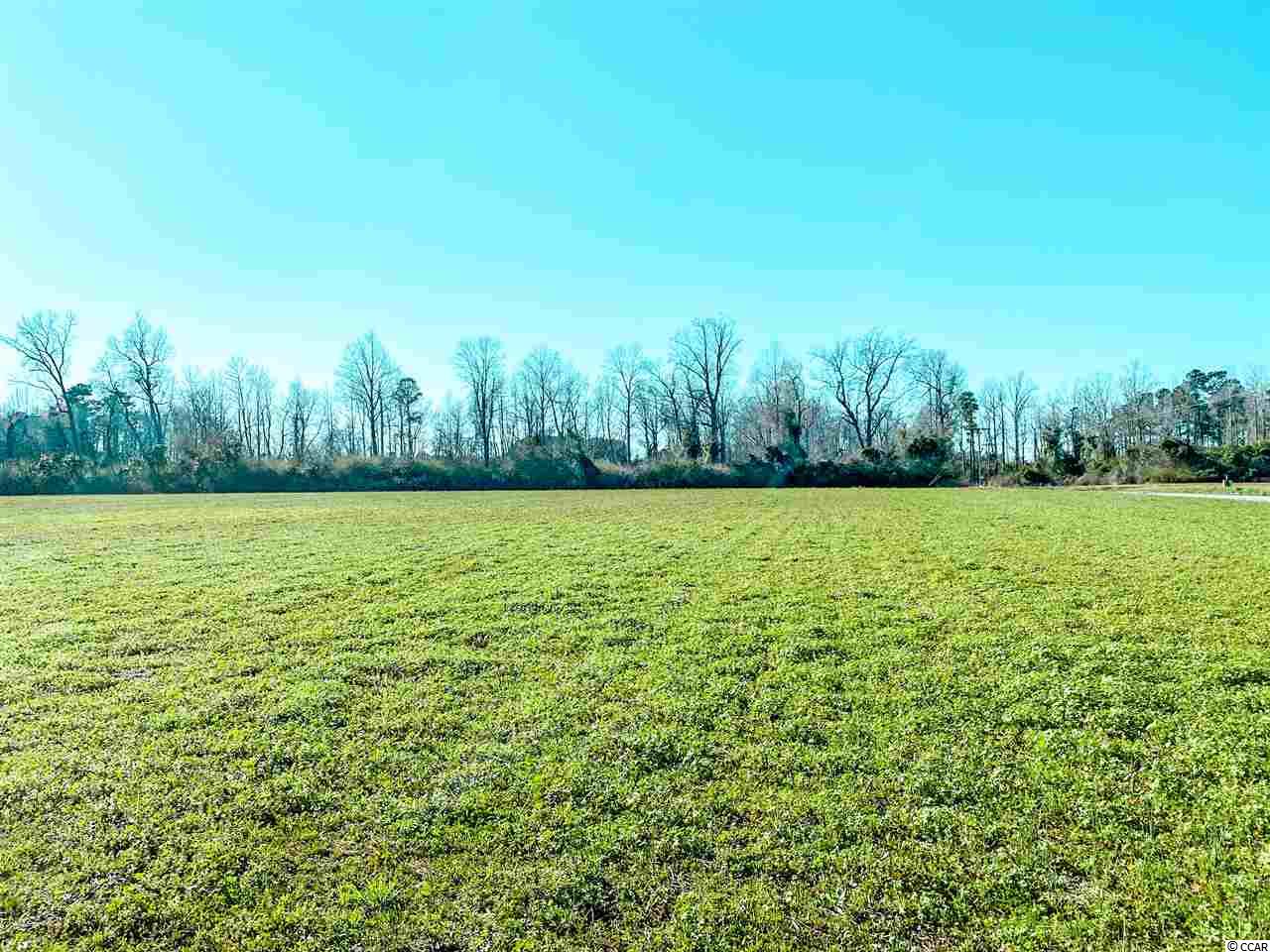 Tbd Mt Zion Road Loris, SC 29569 - Photo 2 of 5 Gallery Image 2
