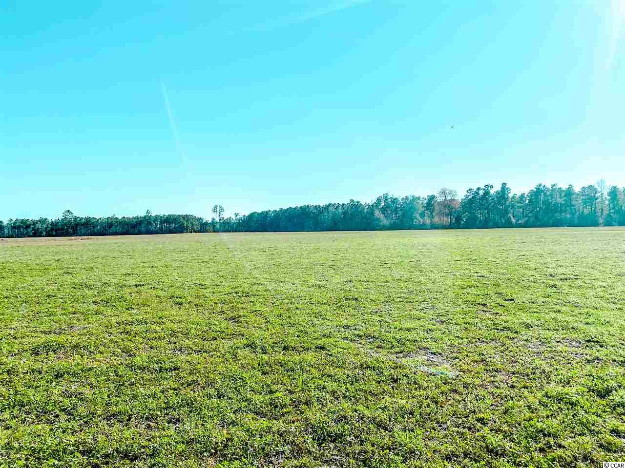 Tbd Mt Zion Road Loris, SC 29569 - Photo 3 of 5 Gallery Image 3