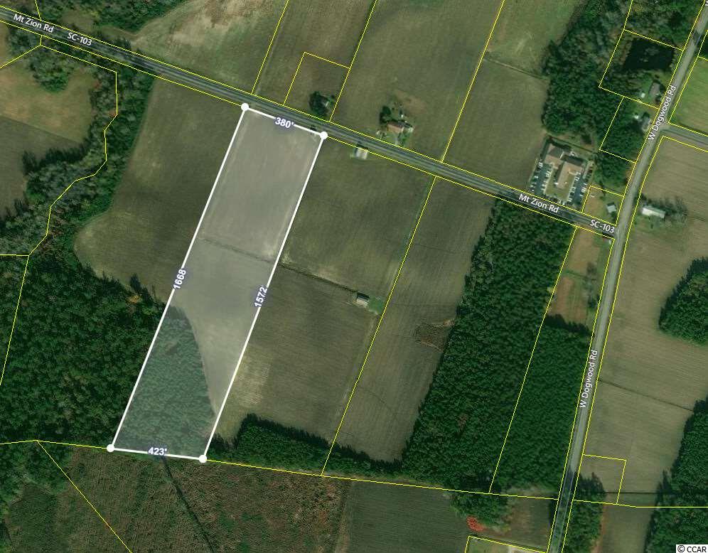 Tbd Mt Zion Road Loris, SC 29569 - Photo 5 of 5 Gallery Image 5