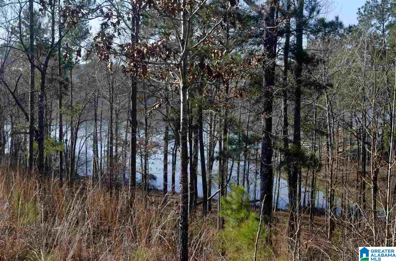 Stillwaters Trail, Unit 179 Sylacauga, AL 35151 - Photo 7 of 20