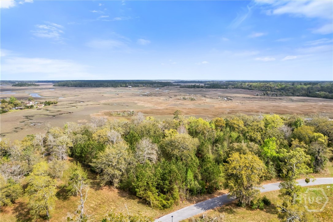 Lot 27 Cattle Hammock Road Midway, GA 31320 - Photo 18 of 30