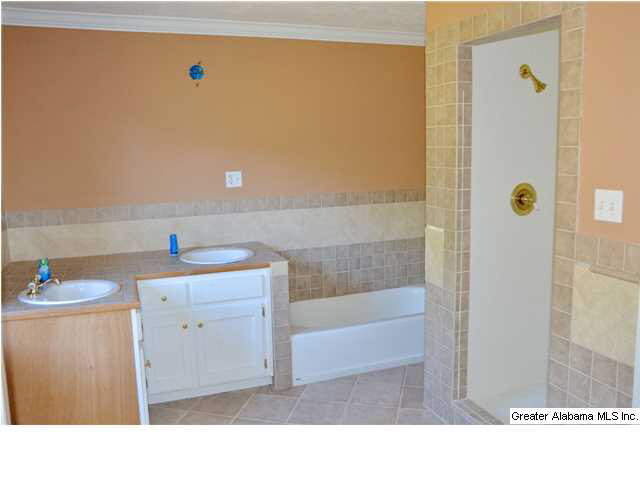 3711 Blue Springs Road Wilsonville, AL 35186 - Photo 9 of 29