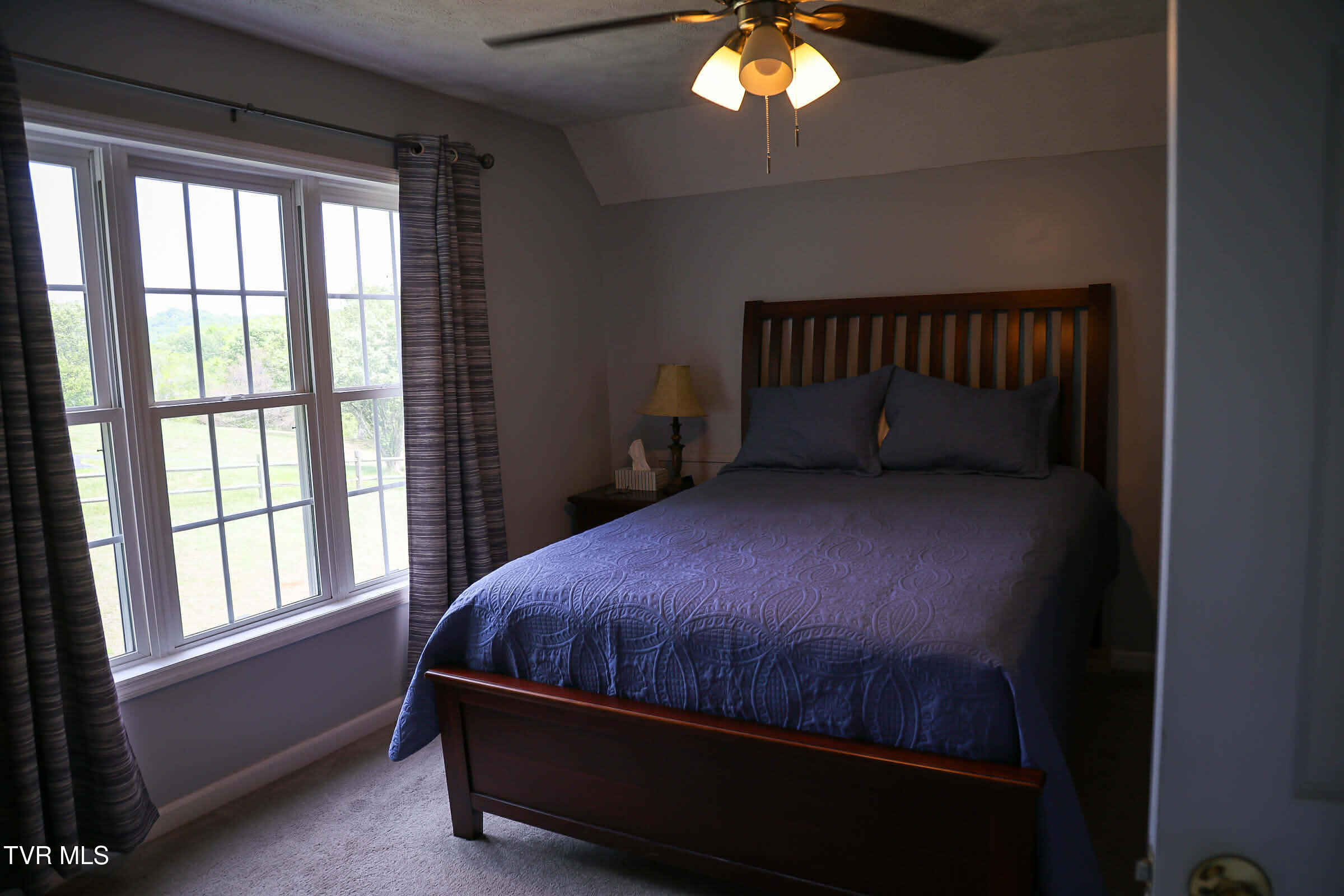 30221 Old Saltworks Road Meadowview, VA 24361 - Photo 29 of 45 Messenger_creation_650E92AC-1AA6-4AB1-A9