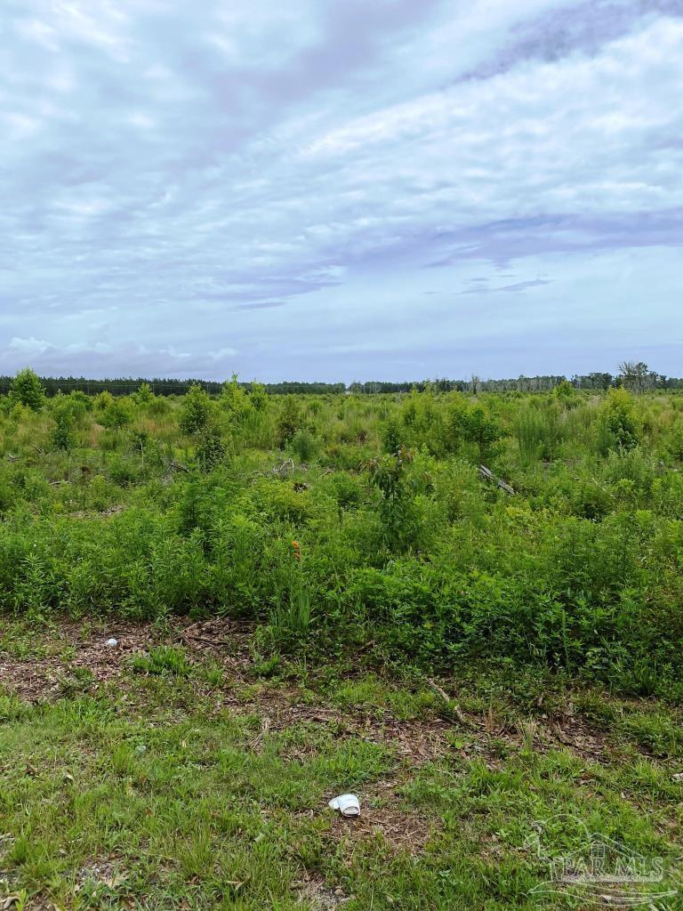 9780 Mistletoe Road, Unit PARCEL 52 Milton, FL 32583 - Photo 3 of 11 Gallery Image 3