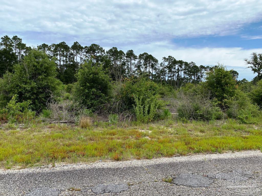 9780 Mistletoe Road, Unit PARCEL 52 Milton, FL 32583 - Photo 8 of 11 Gallery Image 8