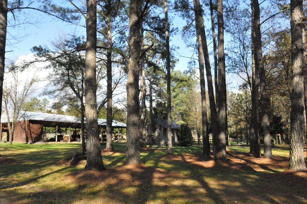 1201 Clayton Road Ridge Spring, SC 29129 - Photo 5 of 56