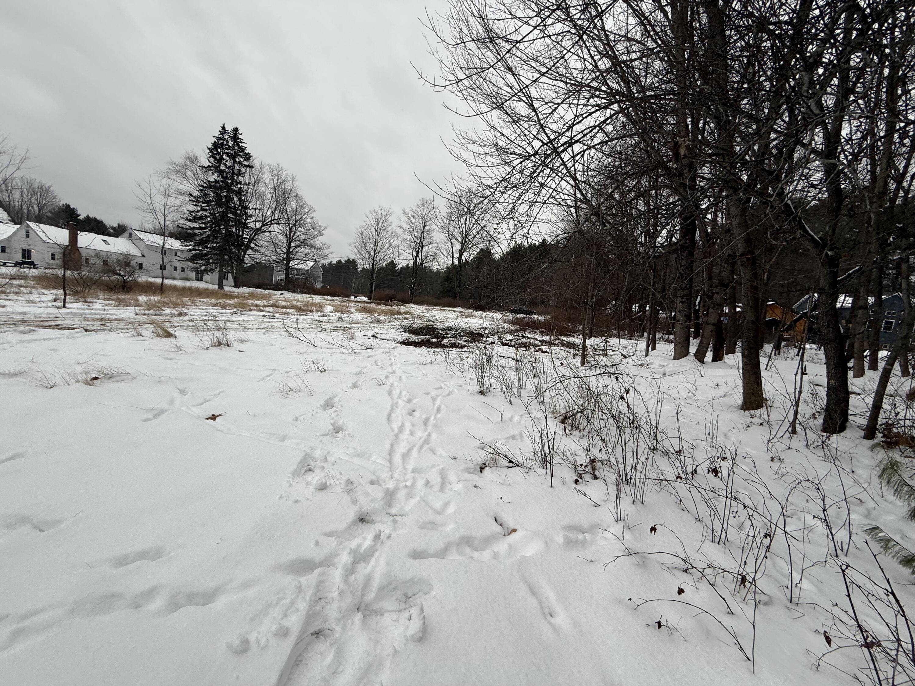 Lot # Gray Road North Yarmouth, ME 04097 - Photo 4 of 6 IMG_7517