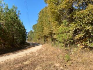 0 Larkin Rice Road Saluda, SC 29138 - Photo 4 of 5